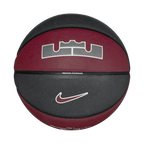 Nike Unisex All Court 2.0 8P L James