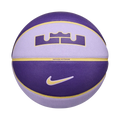 Nike Unisex All Court 2.0 8P L James