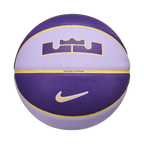 Nike Unisex All Court 2.0 8P L James